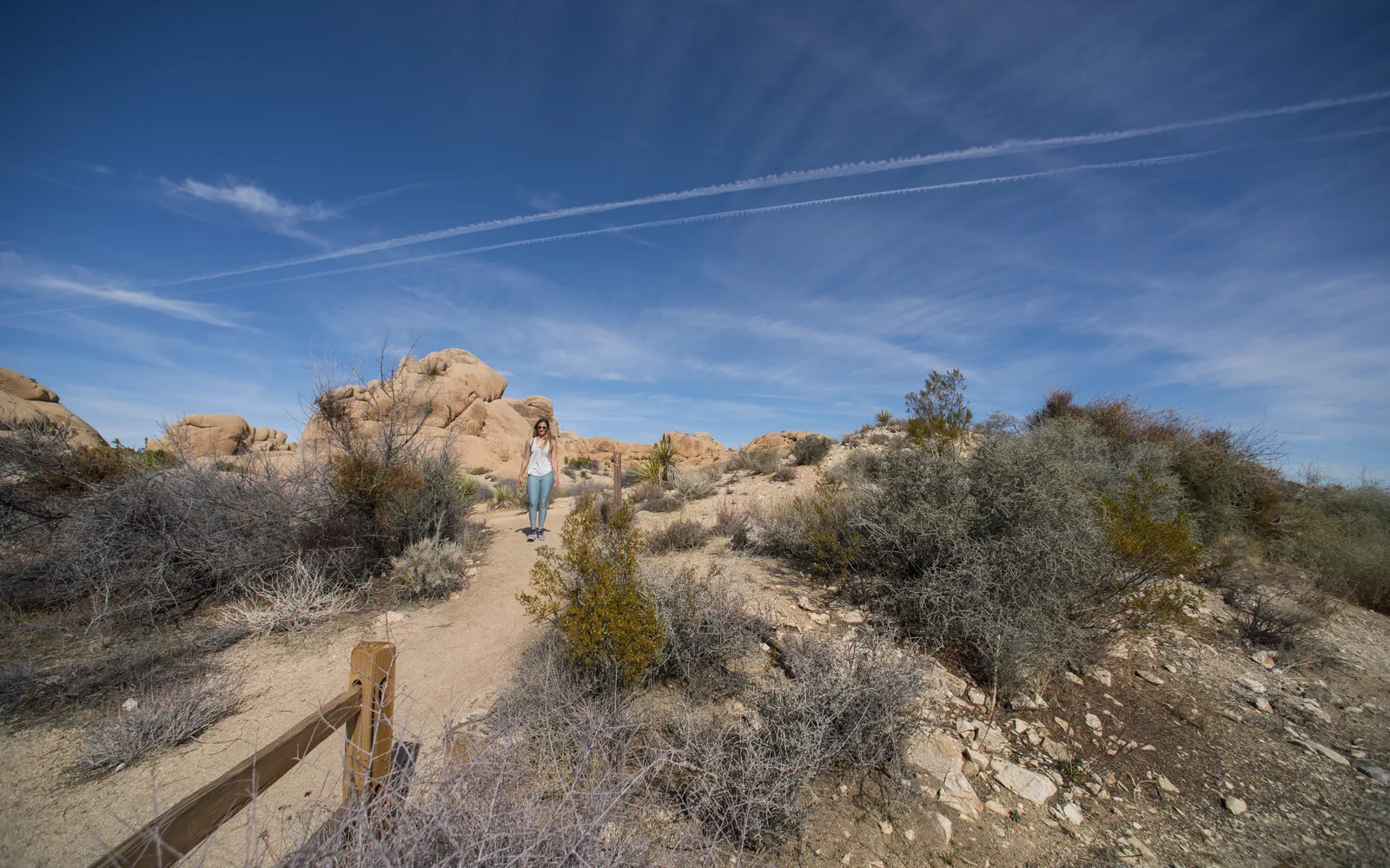 Hiker on Skull Rock Trail in Joshua Tree National Park, showcasing desert landscape and recreation opportunities